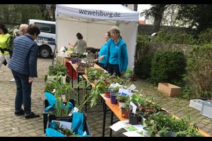 Pflanzen-Tausch-Börse